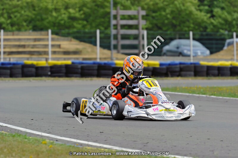DSC_ (1635).jpg